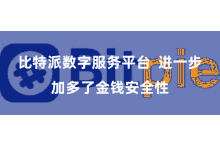 比特派数字服务平台 进一步加多了金钱安全性