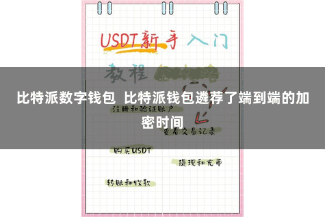 比特派数字钱包 比特派钱包遴荐了端到端的加密时间