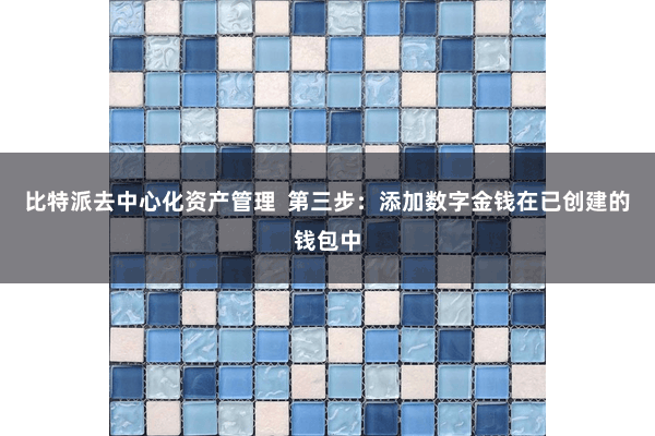 比特派去中心化资产管理  第三步：添加数字金钱在已创建的钱包中