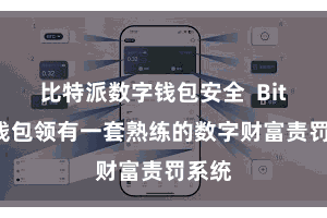 比特派数字钱包安全  Bitpie钱包领有一套熟练的数字财富责罚系统