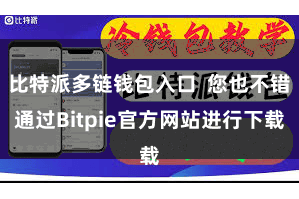 比特派多链钱包入口 您也不错通过Bitpie官方网站进行下载