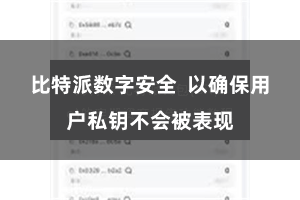 比特派数字安全 以确保用户私钥不会被表现