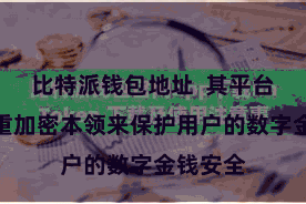 比特派钱包地址 其平台通过多重加密本领来保护用户的数字金钱安全